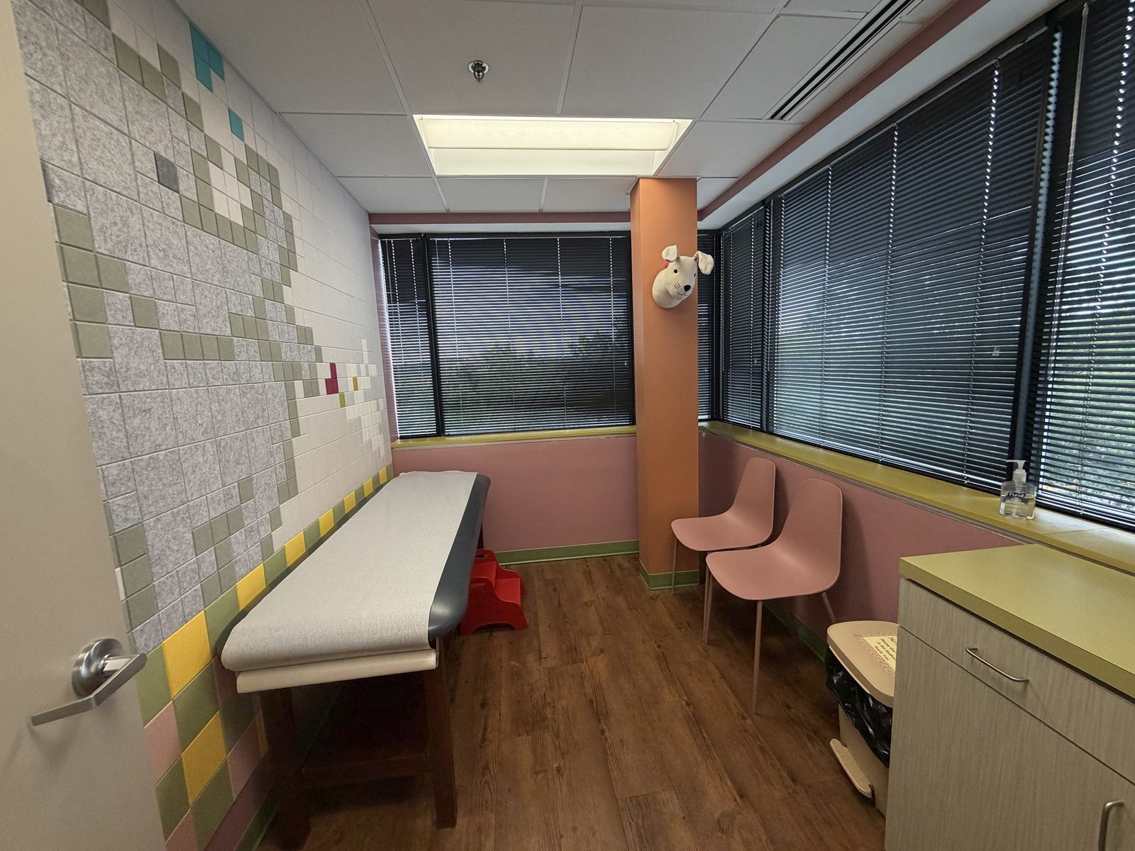 Pink corner exam room with big windows and a felt bunny on the wall